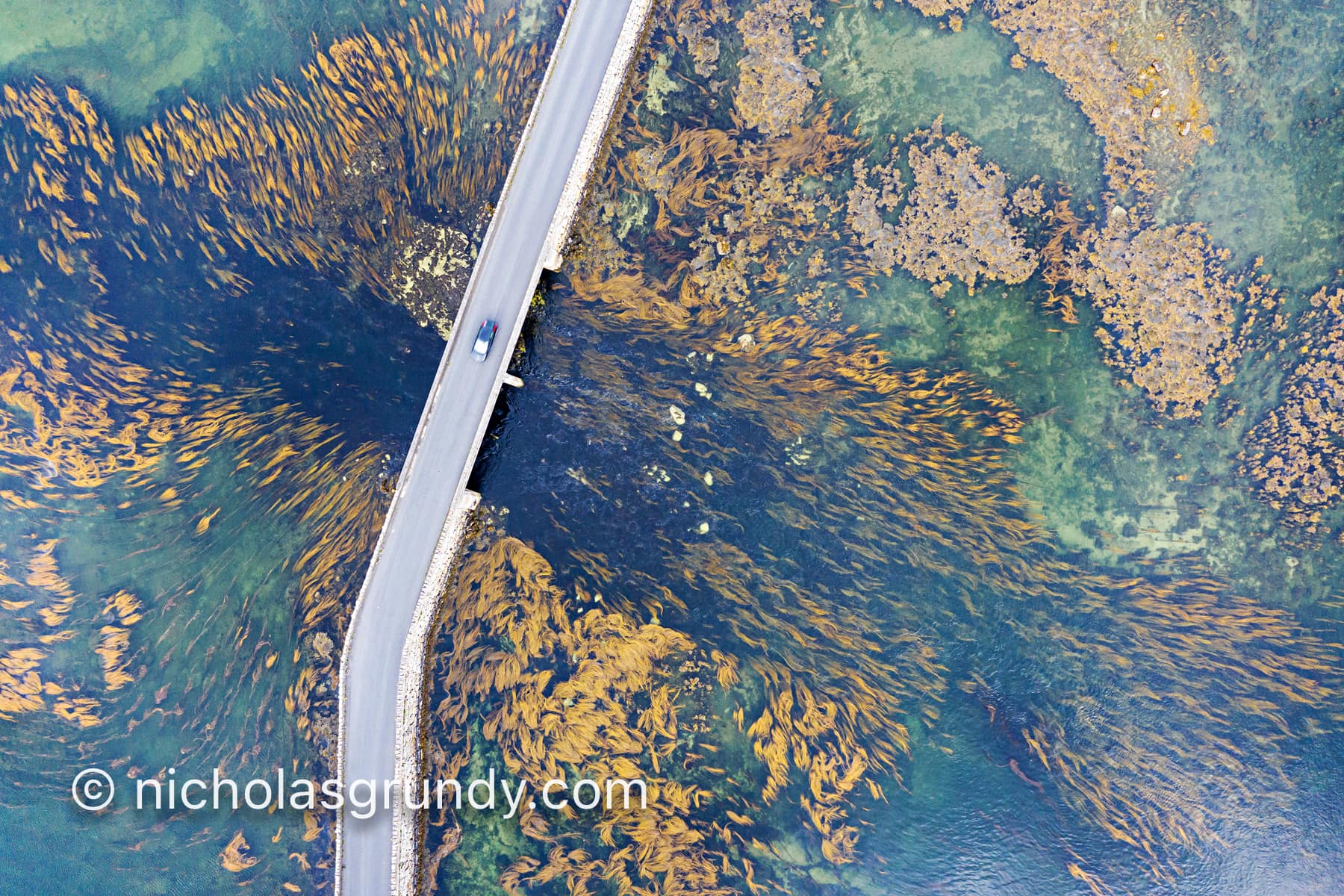 Galway Drone Photographer Seaweed Aerial Photo