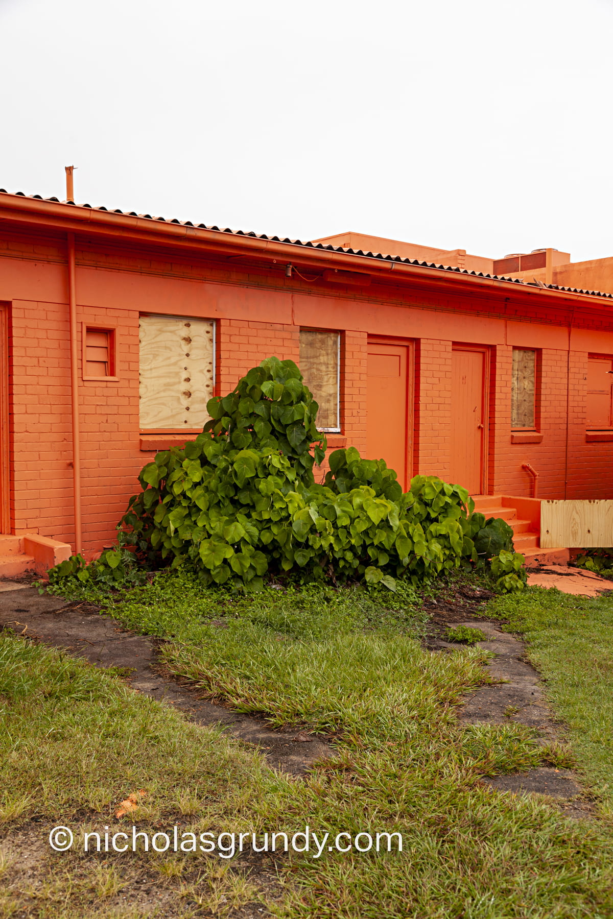 Paloma Orange House Caloundra