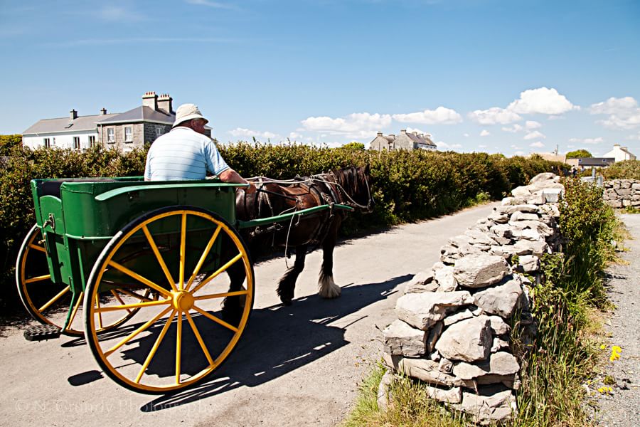 Aran Islands Horse and Cart Photo