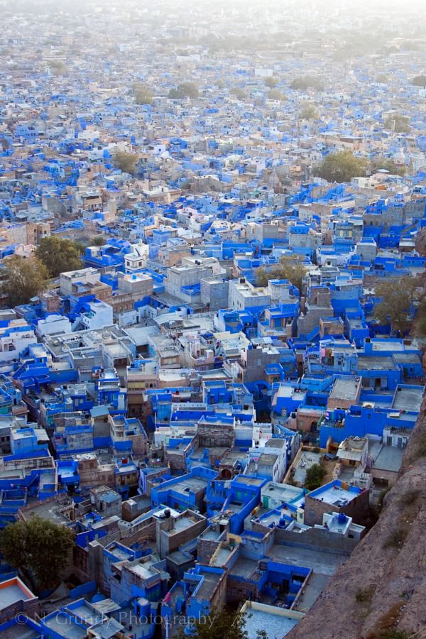 Blue Jodhpur