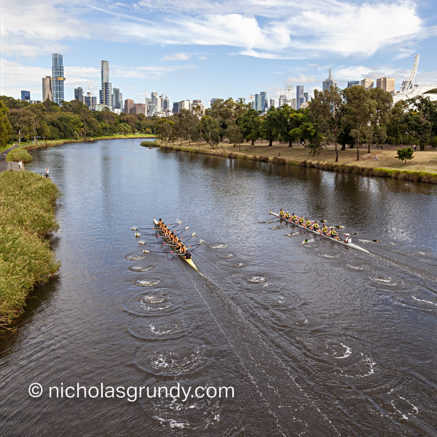 Yarra River Melbourne Rowing