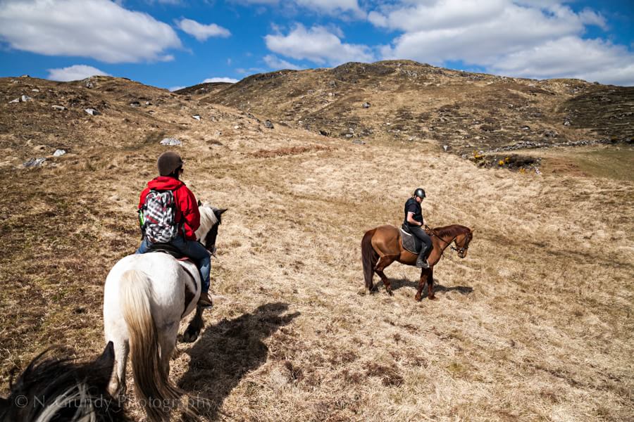 Connemara Pony Hill Trek Photo