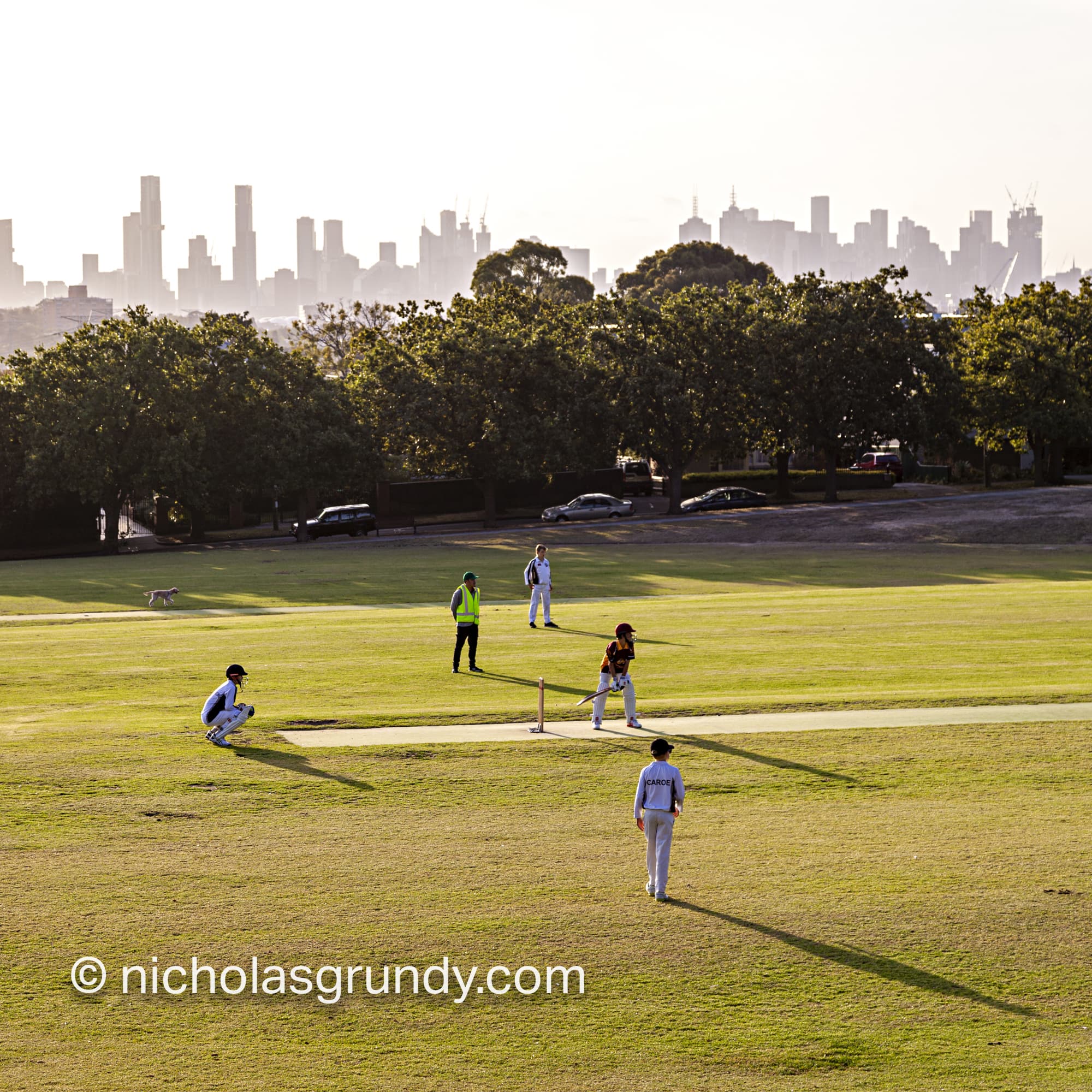 Cricket Game Melbourne