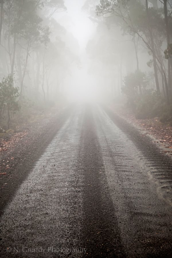 Foggy Road, Ben Lomond
