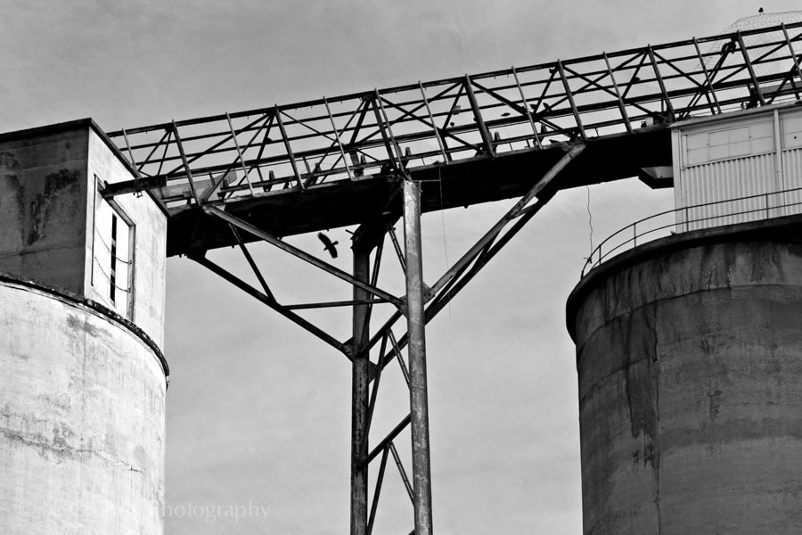Geelong Cement Factory