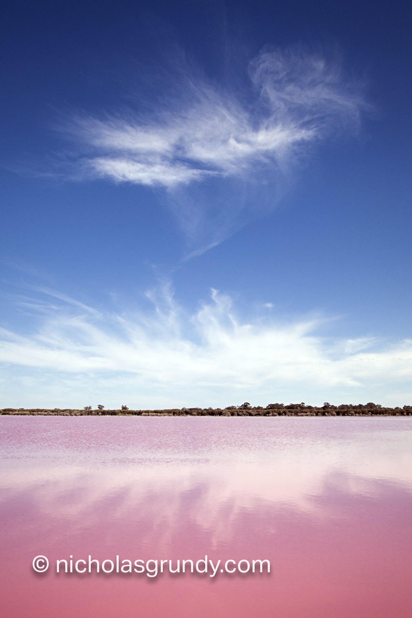 Pink Lake Australia
