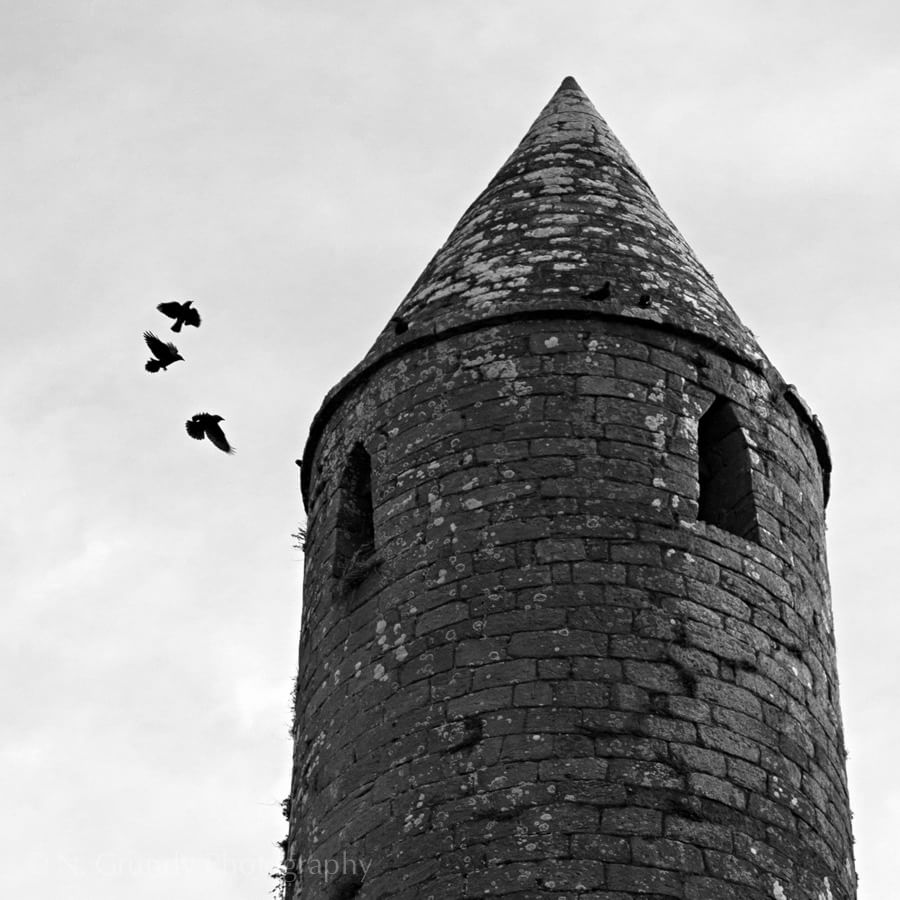 Rock of Cashel Crows Photo
