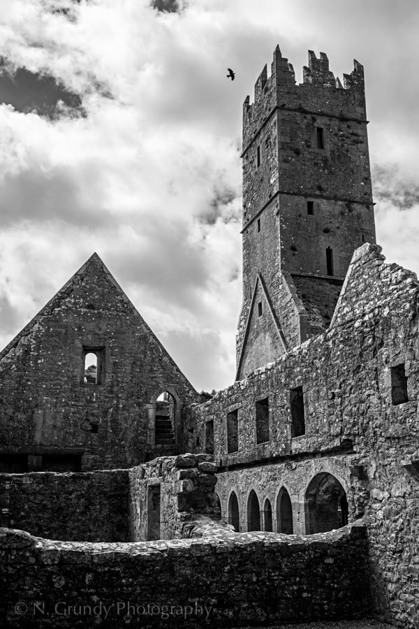 Errilly Friary, Ross Abbey and Crow