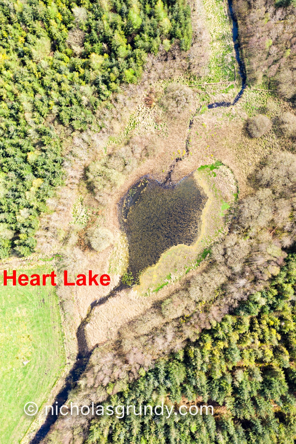 Secret Lake drone photo
