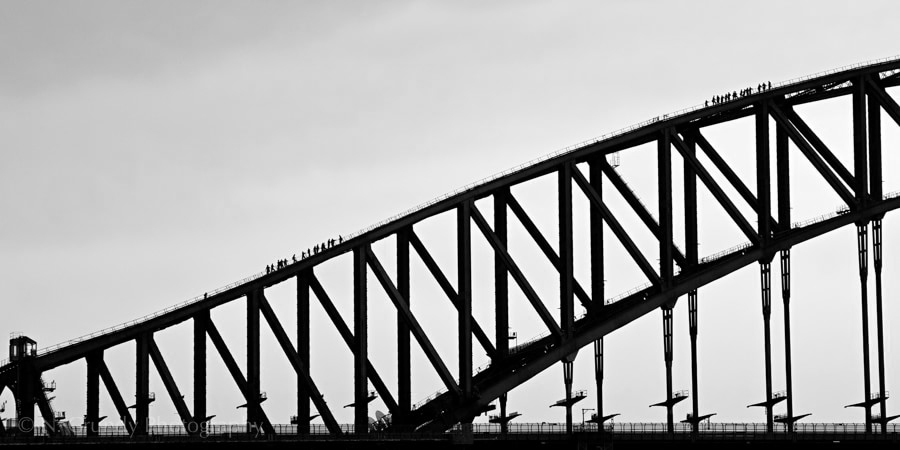 Sydney Harbour Bridge Climb Photo