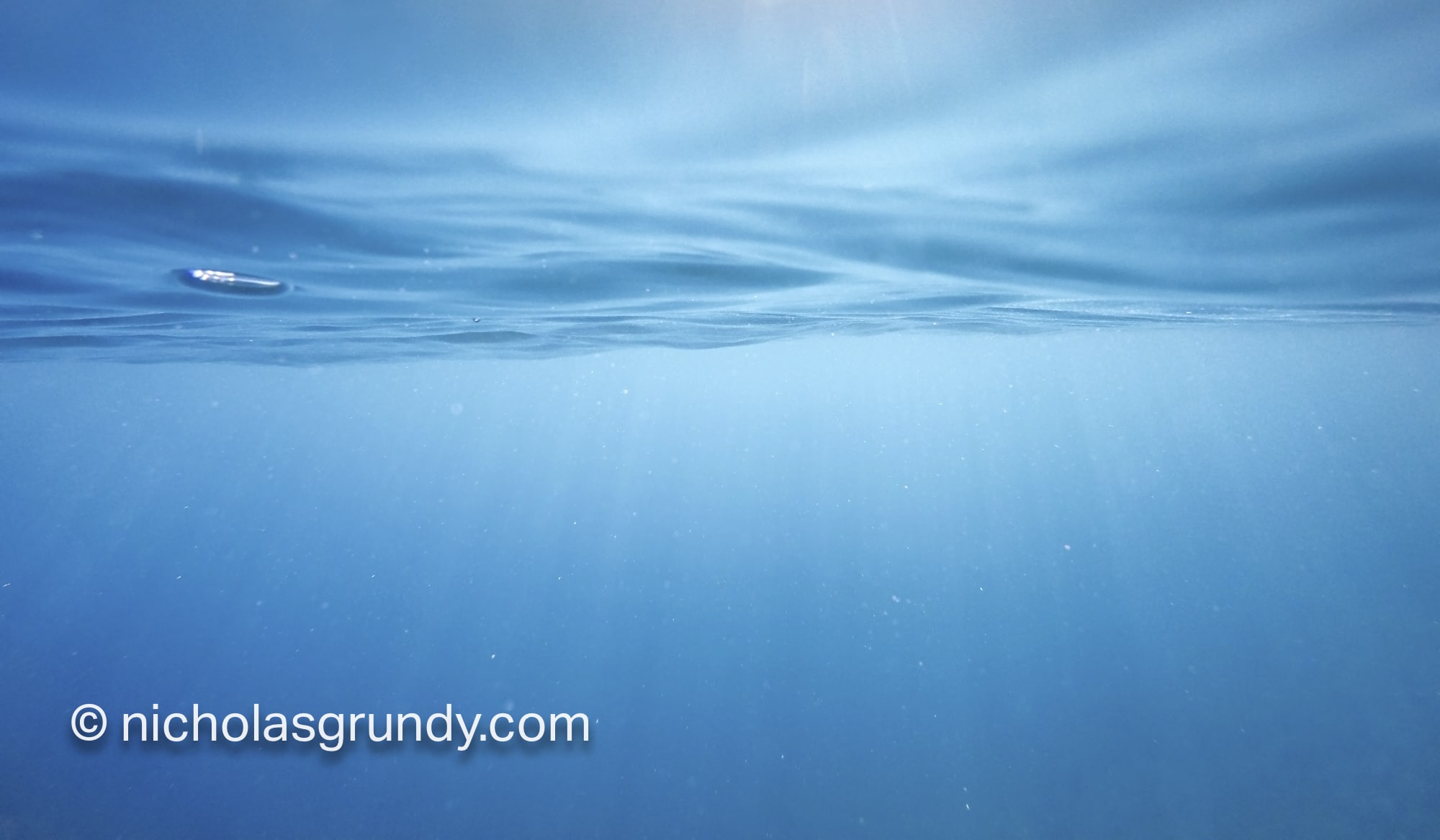 Underwater Photographer Galway
