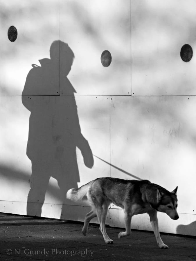 Walk the Dog by Nicholas Grundy Photography